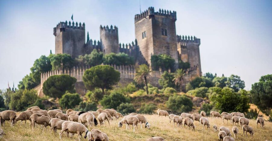 Córdoba: Almódovar Castle Entrance Ticket - Arabian origins, medieval towers, and the Game of Thrones link
