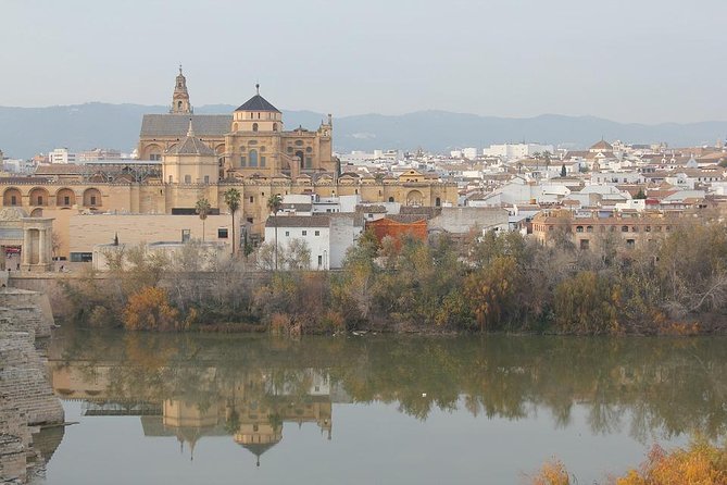 Cordoba & Carmona with Mezquita, Synagoge & Patios from Seville - Price and Logistics: What You Pay For, and What You Might Feel