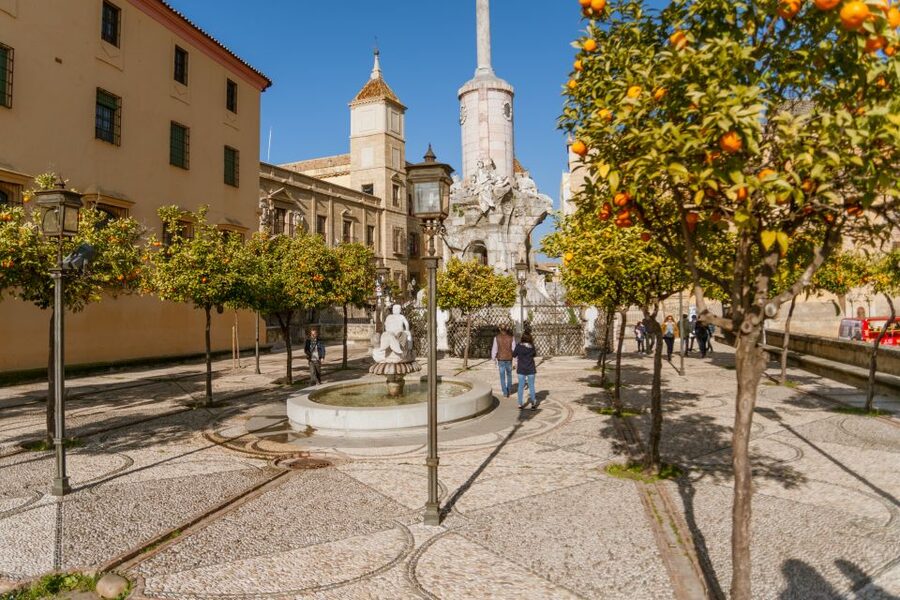 Córdoba: City Sightseeing Hop-On Hop-Off Bus Tour - Price and value: what $32 buys you, and what it does not
