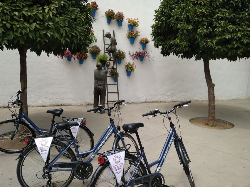 Córdoba Daily Highlights Bike Tour - How the Tour Helps You Eat Well After the Bike Ride