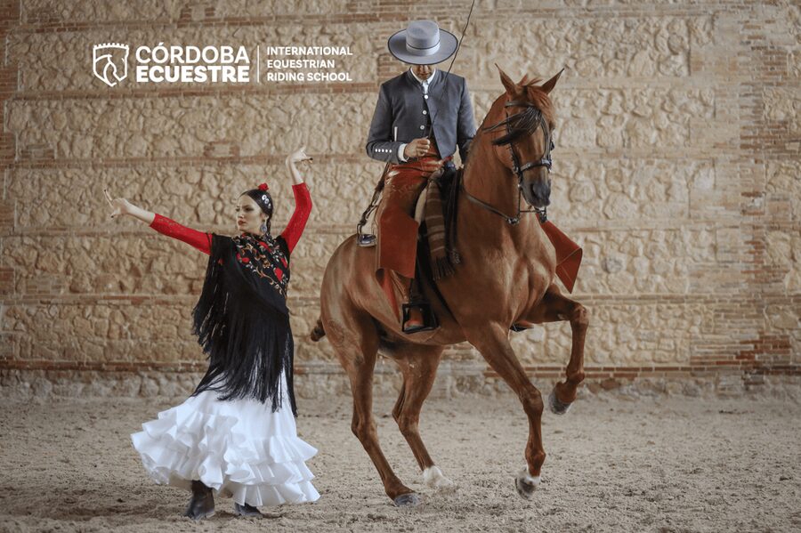 Cordoba: Equestrian Show General Entry - What the 70-minute show format actually feels like