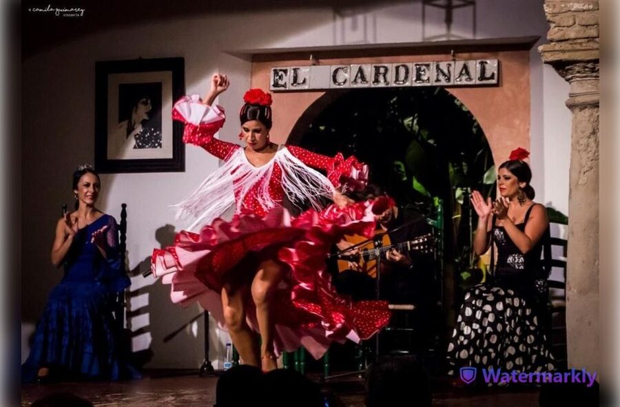 Córdoba: Flamenco Show Ticket with Drinks - Included drink and the tapas option, how to plan without overspending