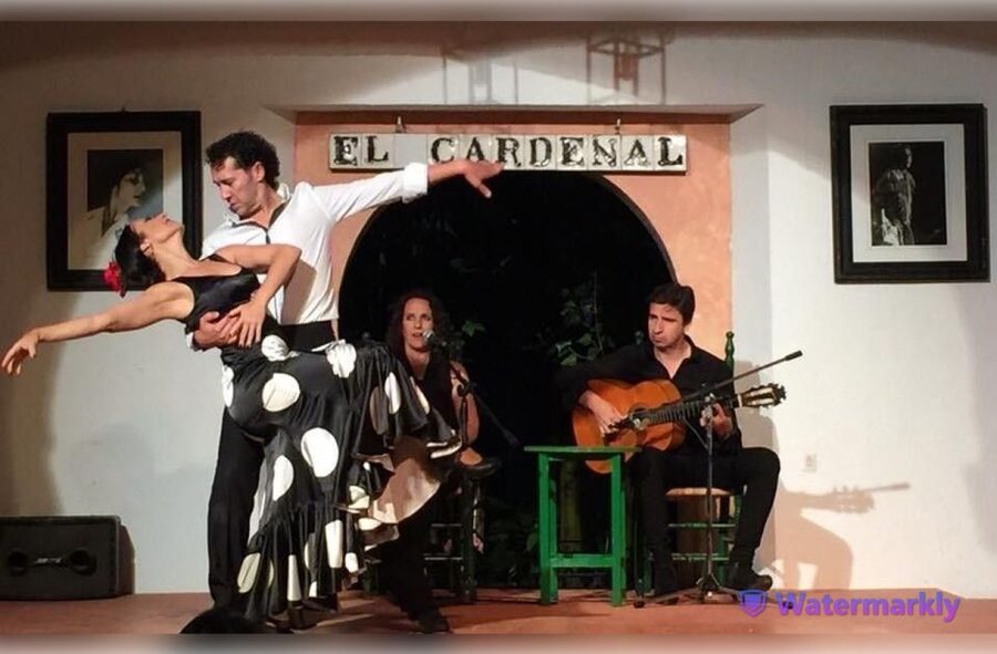 Córdoba: Flamenco Show Ticket with Drinks - Who this is best for in Córdoba (and who should think twice)