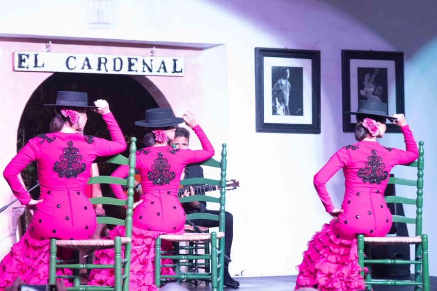 Córdoba: Flamenco Show Ticket with Drinks - Should you book this Córdoba flamenco show?
