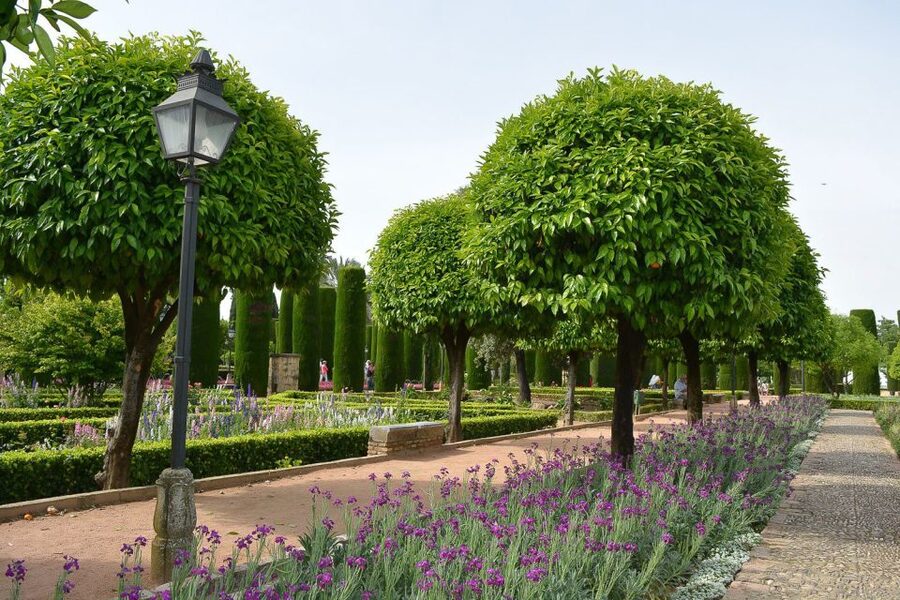 Cordóba: Gardens & Fortress of Catholic Monarchs Guided Tour - FAQ