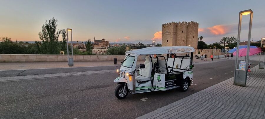 Córdoba: Guided City Tour by Tuk-Tuk - Key things to know before you ride a tuk-tuk in Córdoba