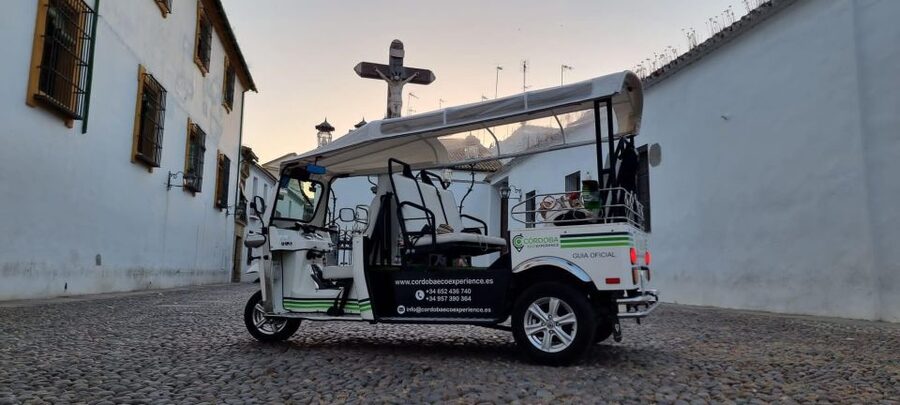 Córdoba: Guided City Tour by Tuk-Tuk - Private group feel, bilingual guiding, and how to get the most out of 75 minutes