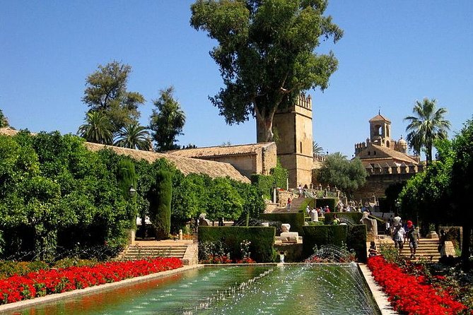 Cordoba Guided Tour Mosque and Cathedral from Seville - First Stop: Priority Entry at the Mezquita-Catedral