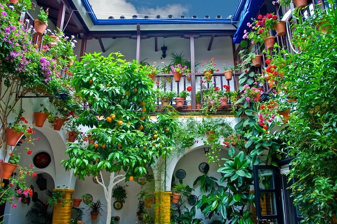 Cordoba Guided Tour Mosque and Cathedral from Seville - Timing and Free Time: Shopping Without Losing the Story