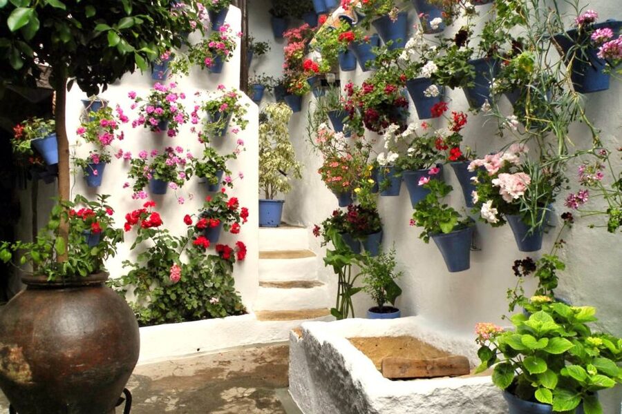 Córdoba: Guided Tour of the Patios - Key things to know before you go