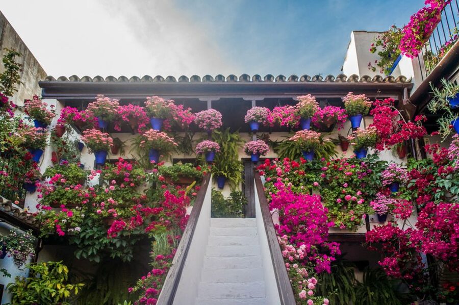Córdoba: Guided Tour of the Patios - Entering Patios in Córdoba: Why This Tour Feels Different