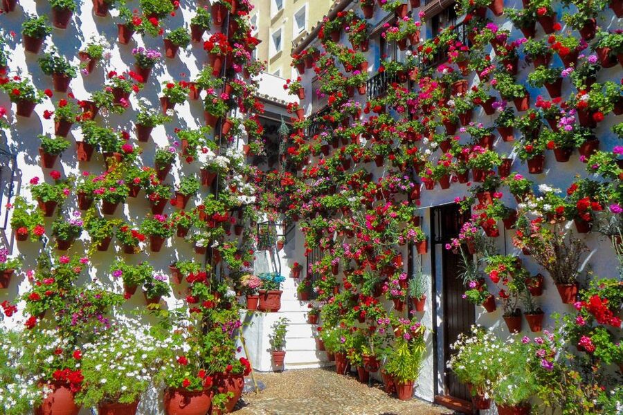 Córdoba: Guided Tour of the Patios - Guides Matter: What You Can Learn from the Names You’ll Hear