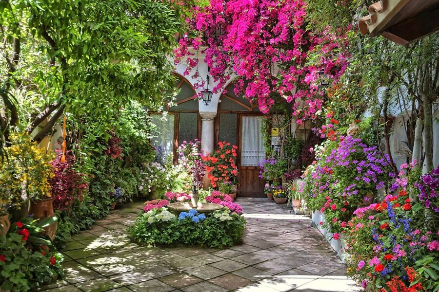 Córdoba: Guided Tour of the Patios - How Busy Seasons Change Your Experience
