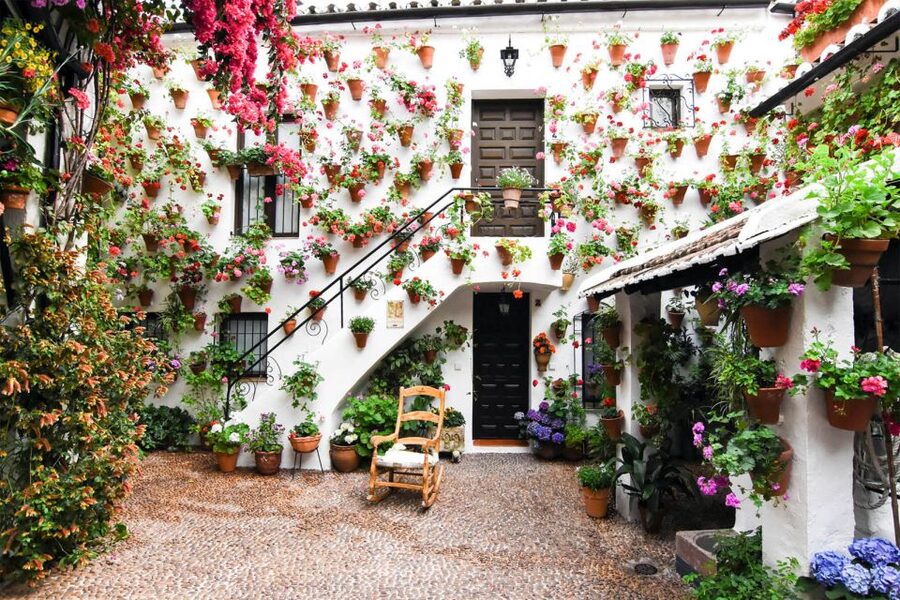 Córdoba: Guided Tour of the Patios - Price and Value: Why $23 Can Work Out