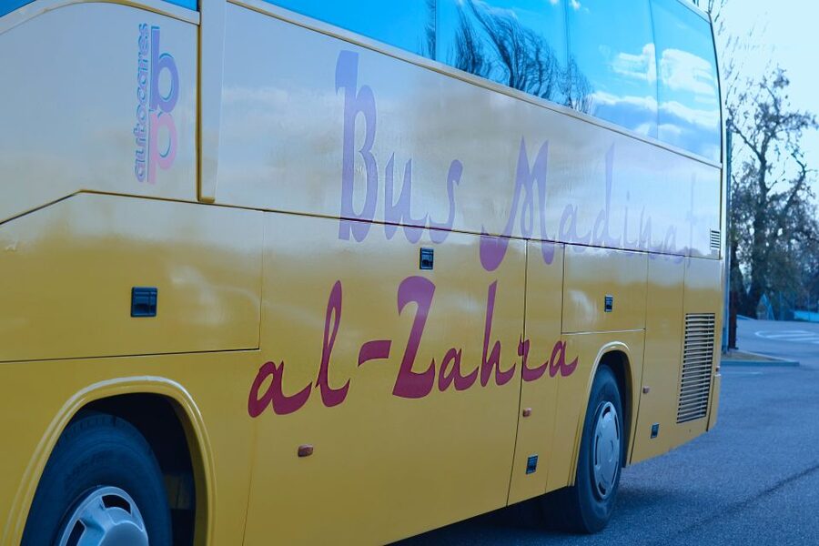 Cordoba: Half-Day Medina Azahara Guided Tour - Medina Azahara: the Bright City idea, made real