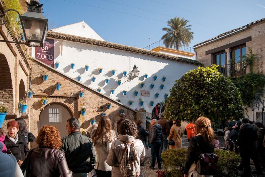 Cordoba: Jewish Quarter and Mosque-Cathedral Guided Tour - Who should book this tour (and who might want something else)
