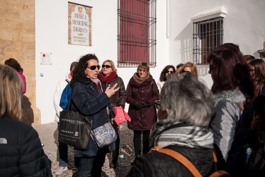 Cordoba: Jewish Quarter and Mosque-Cathedral Guided Tour - Pace, group size, and the value of about $45 for 2 hours