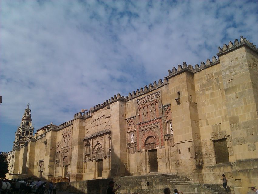 Córdoba: Mosque-Cathedral & Alcazar Guided Tour - Alcázar gardens and viewpoints, with palace-era stakes