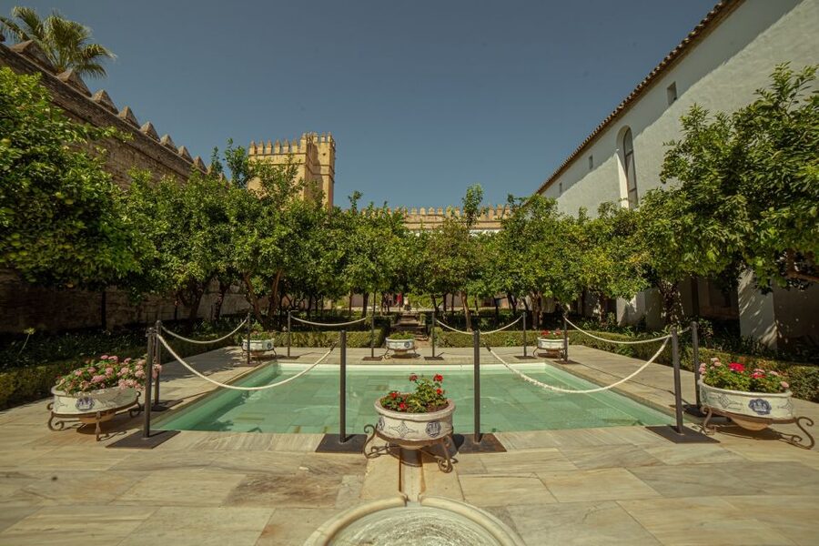Córdoba: Mosque-Cathedral and Alcazar Tour - Price and value: what $52 buys you in real terms