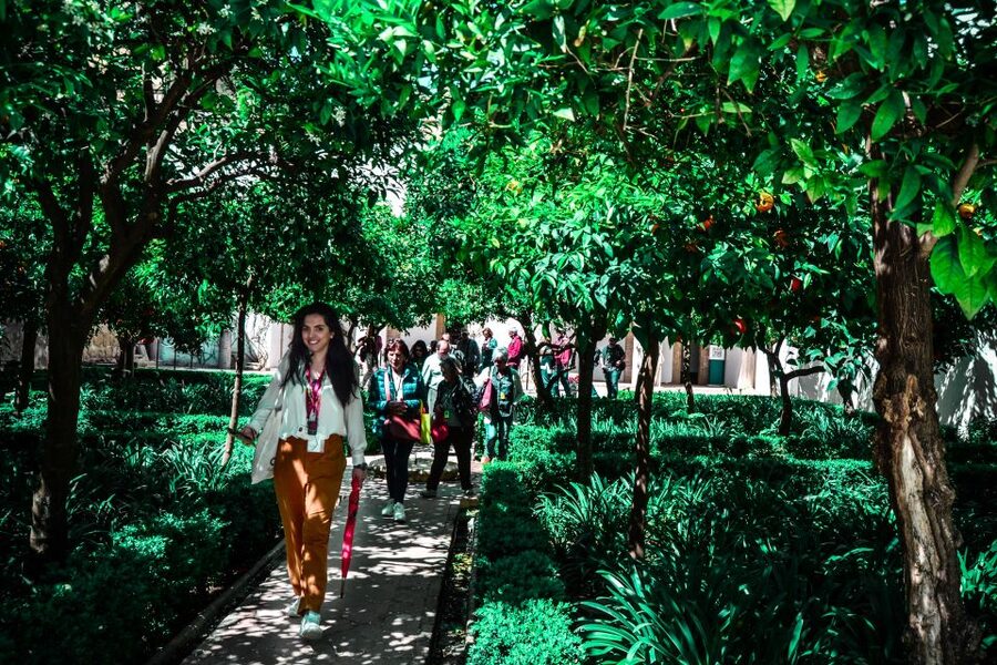 Córdoba: Mosque-Cathedral and Alcazar Tour - What you see in the Alcázar Gardens and Arab Baths
