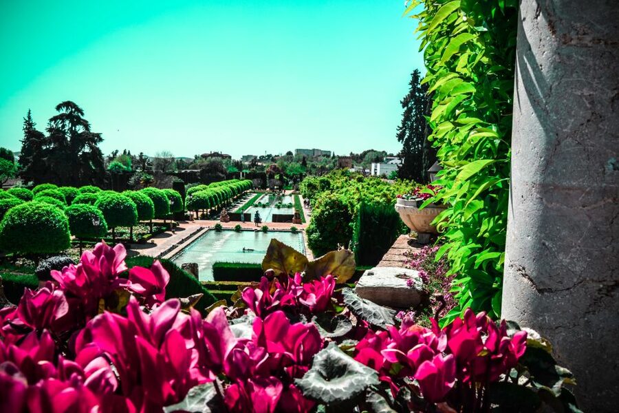 Córdoba: Mosque-Cathedral and Alcazar Tour - What to wear and bring, so you do not waste time on restrictions