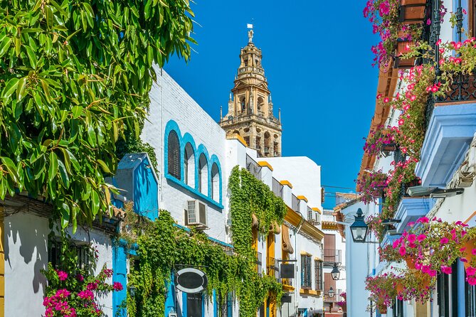 Cordoba Mosque-Cathedral & City Private Tour - Price and Value: What You’re Really Paying For