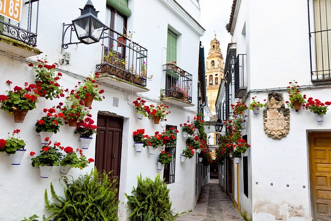 Cordoba Mosque-Cathedral & City Private Tour - Timing, Weather, and How to Get the Most Out of 2.5 Hours