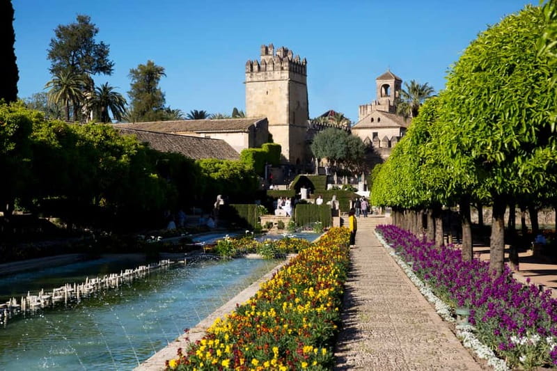 Córdoba: Mosque-Cathedral, Jewish Quarter and Alcázar Tour - What the guides get right, and why small-group matters here