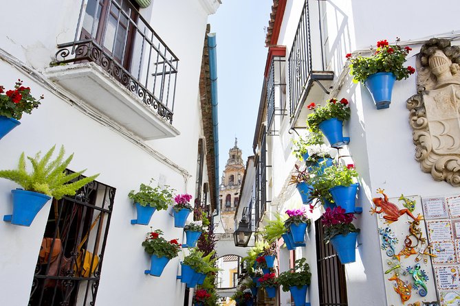 Cordoba Mosque & Jewish Quarter Guided Tour with tickets - Price and what you really get for $39.76