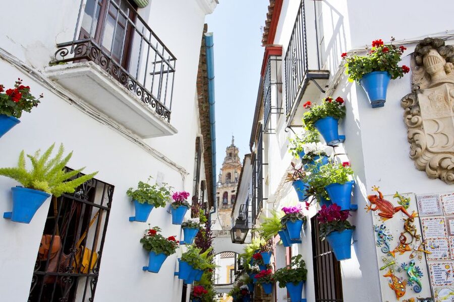 Cordoba Mosque & Jewish Quarter Tour with Tickets - Key highlights worth your time