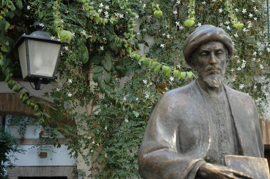 Cordoba Mosque & Jewish Quarter Tour with Tickets - Who this tour is best for