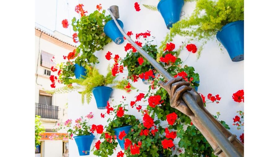 Cordoba's Authentic Patios: 2-Hour Tour with Tickets - Entering Five Private Patios in San Basilio