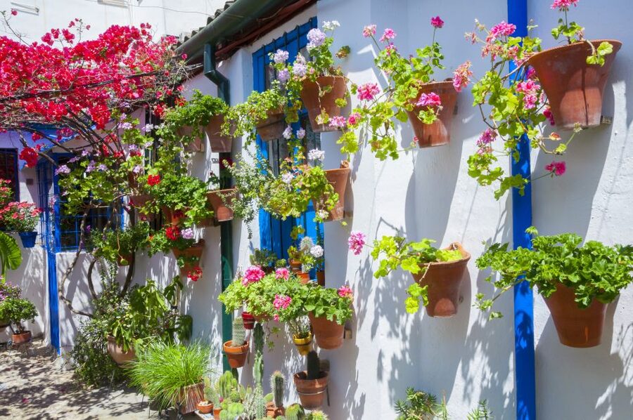 Cordoba's Authentic Patios: 2-Hour Tour with Tickets - Best Timing: March to May, and the Festival Date Swap