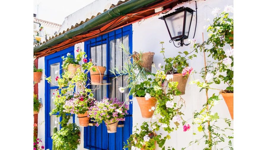 Cordoba's Authentic Patios: 2-Hour Tour with Tickets - Practicalities for a Smooth 2-Hour Patio Walk