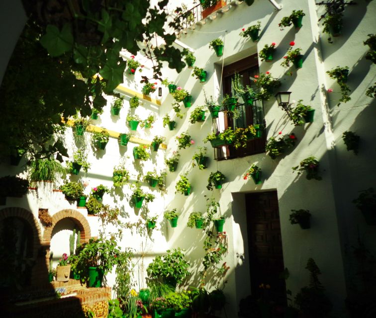 Cordoba's Authentic Patios: 2-Hour Tour with Tickets - Is the $21 Ticket Good Value for This Cordoba Experience?