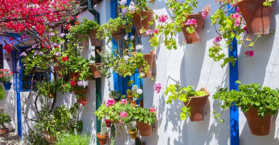 Cordoba's Authentic Patios: 2-Hour Tour with Tickets - Meeting at Plaza del Triunfo and Walking into Alcazar Viejo