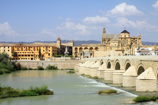 Cordoba Tour with Mosque, Synagogue and Patios from Malaga - Cordoba Synagogue Stop: Short, Included, and Focused