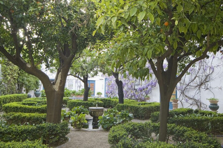 Córdoba: Viana Palace Gardens and Patios Entry Ticket - Key Things To Know Before You Walk In