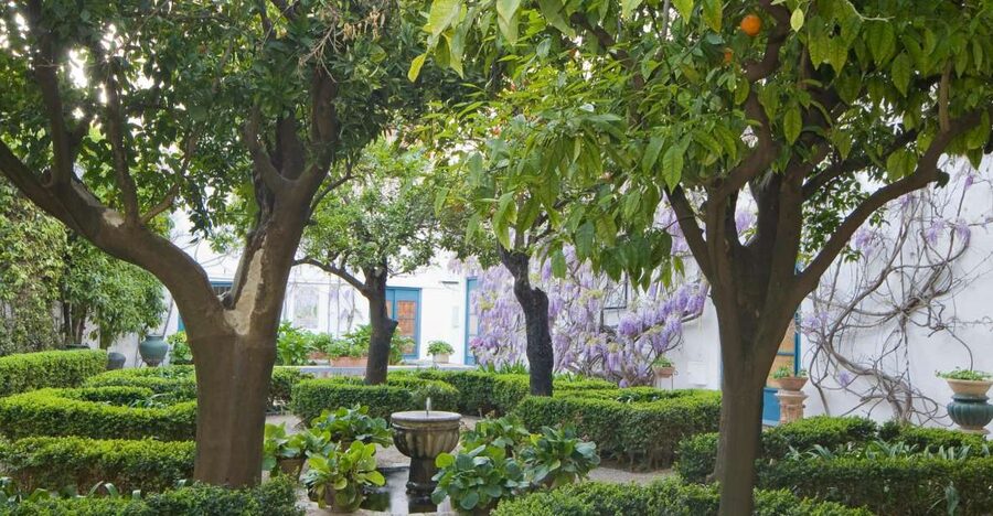Córdoba: Viana Palace Gardens and Patios Entry Ticket - Viana Palace Patios: The Courtyard World You Can Walk Through in One Go