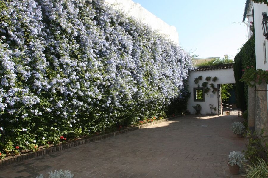 Córdoba: Viana Palace Gardens and Patios Entry Ticket - Entering at Plaza de Don Gome 2: Your Arrival Plan