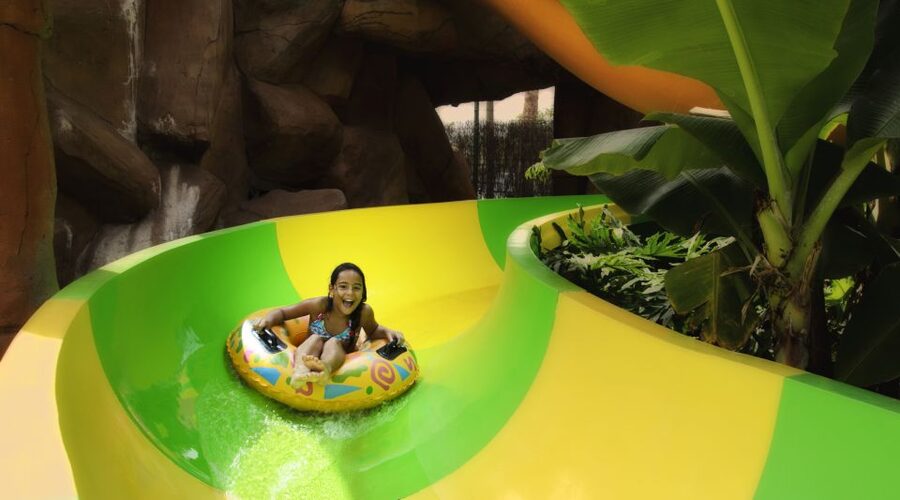 Costa Adeje: Aqualand Water Park Ticket with Dolphin Show - The dolphin show: why it is the reason many people remember this day