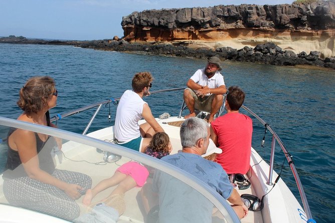 Costa Adeje | Cetacean sighting in Tenerife South - Costa Adeje meeting point and the small-boat reality