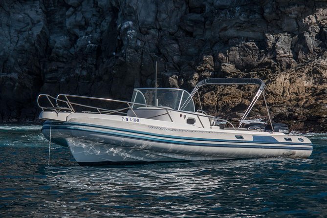 Costa Adeje | Cetacean sighting in Tenerife South - Practical guidance for a smoother cruise (sun, bathroom, motion)