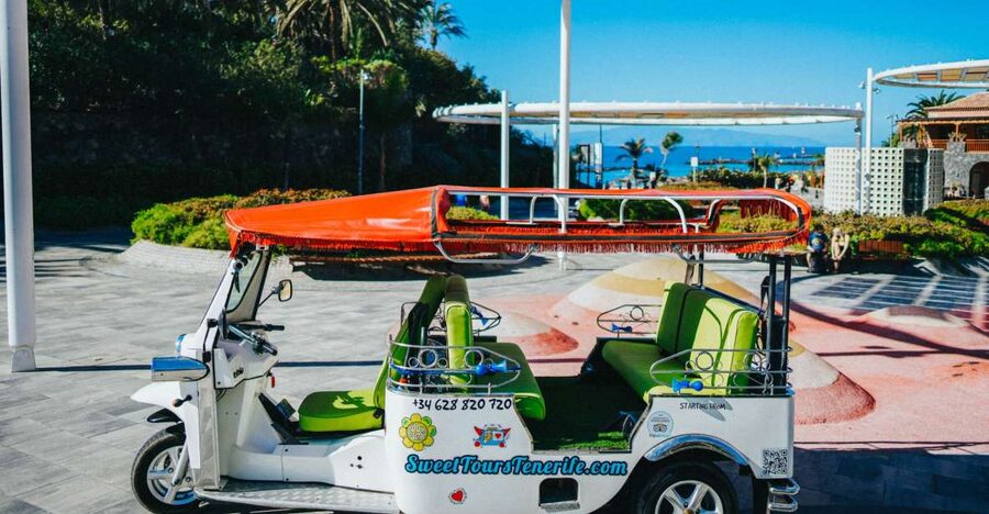 Costa Adeje: Double Tuk Tuk Tour - The Mirador viewpoint: big panorama time, plus a short walk