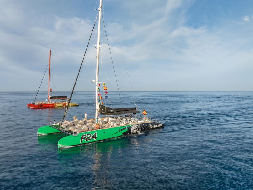 Costa Adeje: Masca and Los Gigantes Whale Watching Cruise - Key highlights you will feel on the water