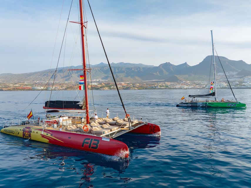 Costa Adeje: Masca and Los Gigantes Whale Watching Cruise - Masca Bay swim stop with lunch and free drinks