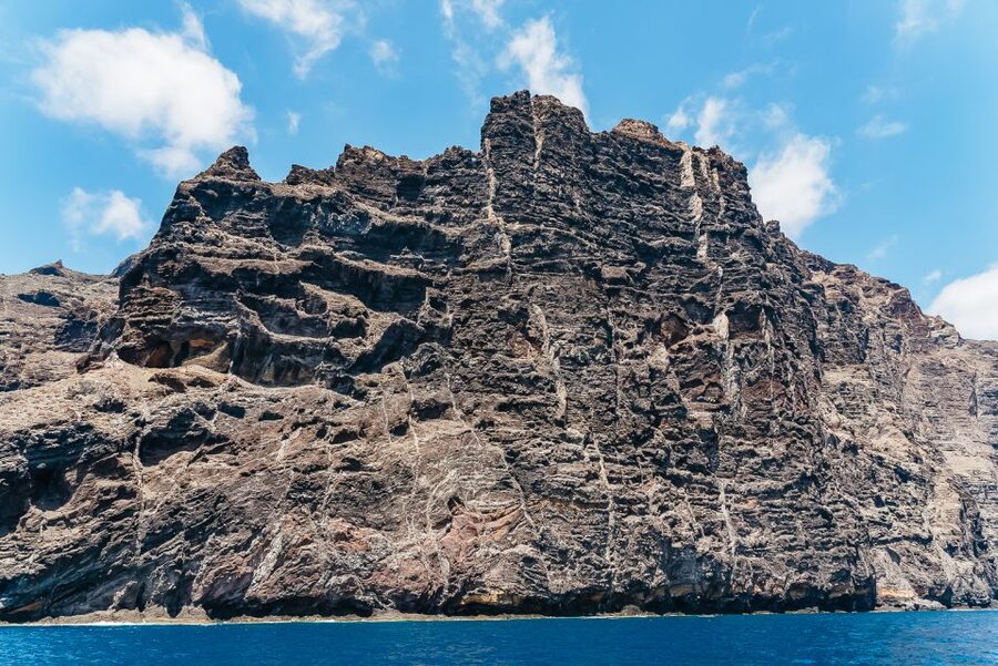 Costa Adeje: Masca and Los Gigantes Whale Watching Cruise - Onboard comfort, crew style, and what the catamaran format means