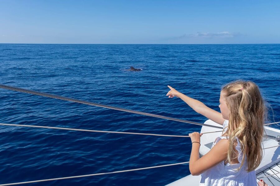 Costa Adeje: Masca and Los Gigantes Whale Watching Cruise - Who should book this cruise, and who might pass