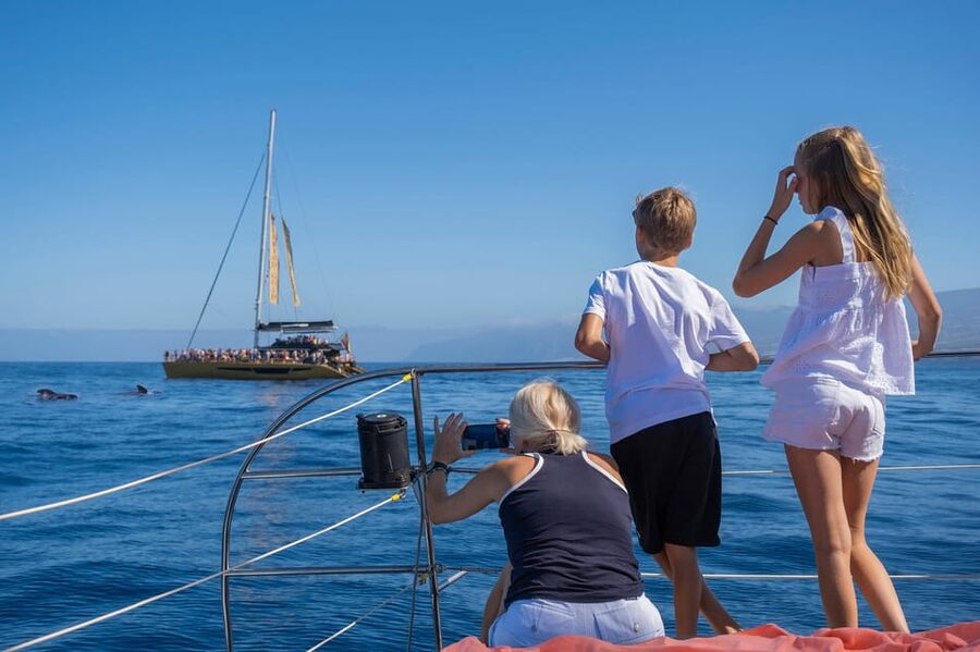 Costa Adeje: Masca and Los Gigantes Whale Watching Cruise - FAQ