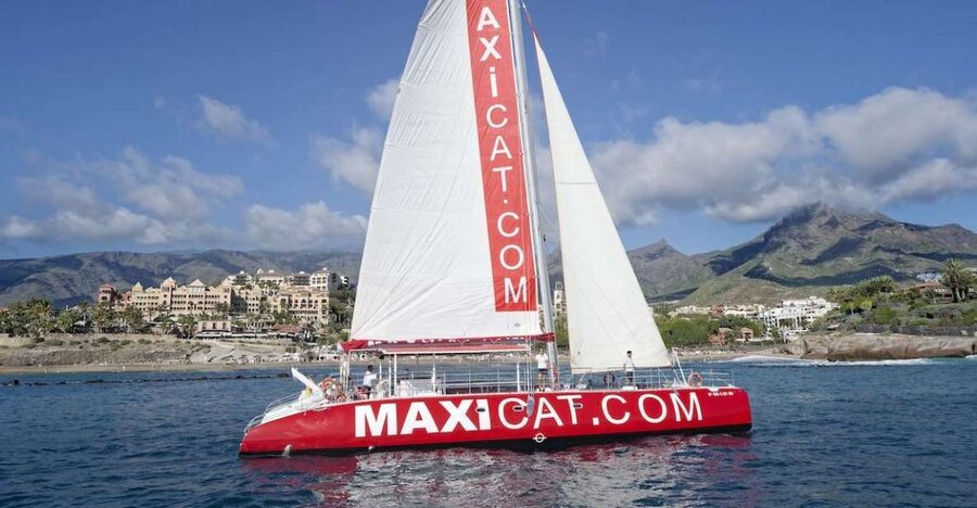 Costa Adeje: Whale and Dolphin Cruise with Food and Pickup - Finding Pantalan 9 and the red catamaran with maxicat on it
